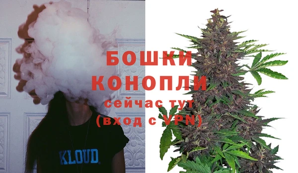 соль ск Богородск