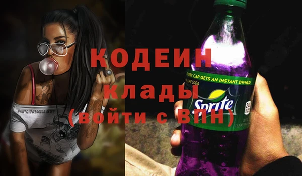 спиды Тайга