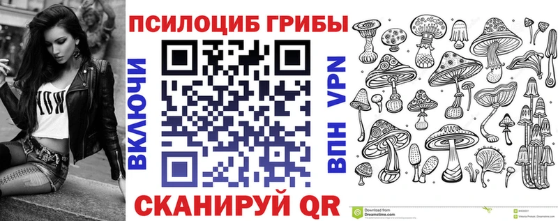 закладка  Мелеуз  Галлюциногенные грибы GOLDEN TEACHER 